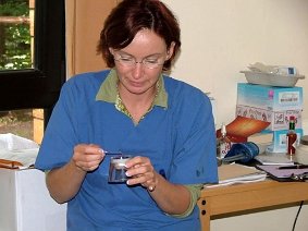 DSCF7742 JPG