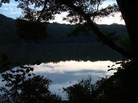 DSCF8201 JPG