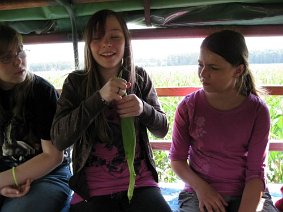 IMG 1709 (4) JPG