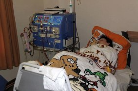 IMG 1742 JPG