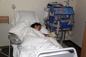 IMG 1743 JPG