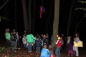 IMG 2350 JPG