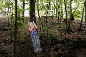 IMG 2403 JPG