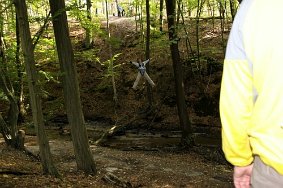 IMG 2548 JPG