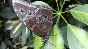 05082011347 jpg
