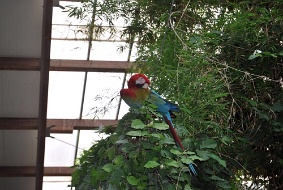 DSC 3675 JPG