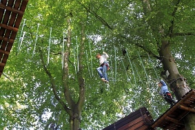 IMG 4074 JPG