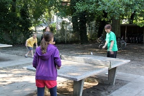 IMG 4334 JPG