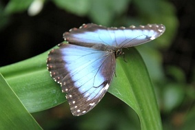 IMG 4757 JPG