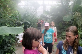 IMG 4760 JPG