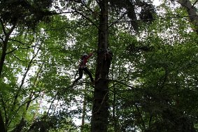IMG 6931