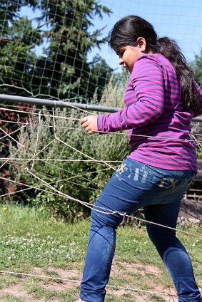 IMG 7244