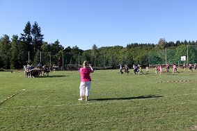 IMG 7482