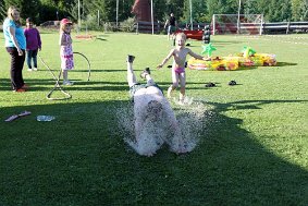 IMG 7506