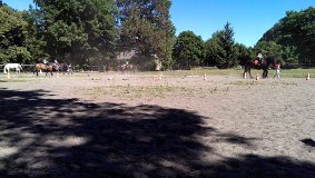 IMAG0222