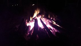 IMAG0451