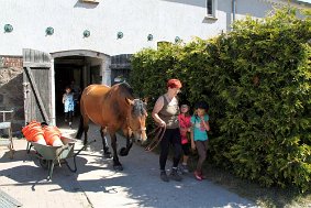 IMG 8508