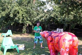 IMG 8661