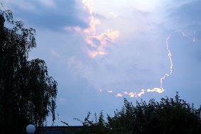 IMG 8893