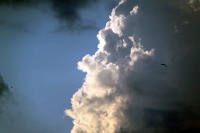 IMG 8901