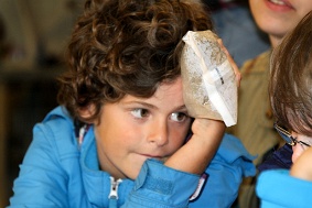 IMG 0688