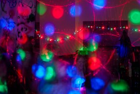 IMG 5527
