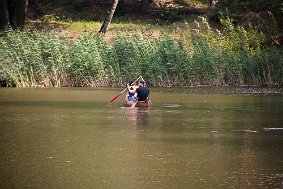 IMG 5593