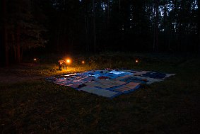 IMG 6541