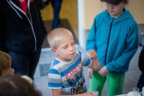 IMG 7334