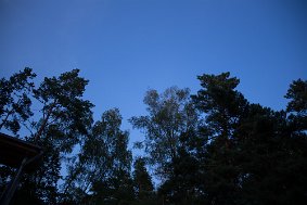 IMG 7651