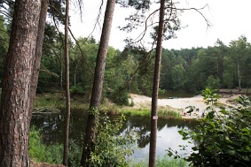 IMG 7826