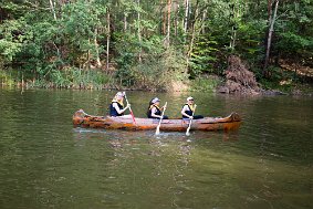 IMG 7853