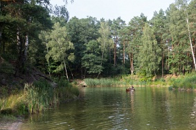 IMG 7950