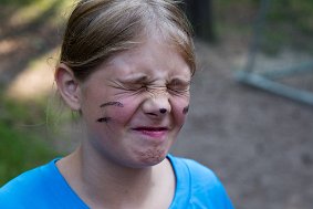 IMG 8231