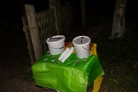 IMG 8466