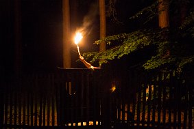 IMG 8503