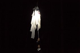 IMG 8524