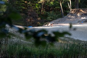 IMG 8687