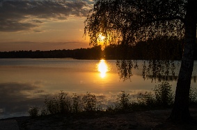 IMGP0866
