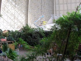 IMG 5146 JPG