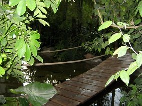 IMG 5152 JPG
