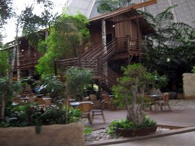 IMG 5155 JPG