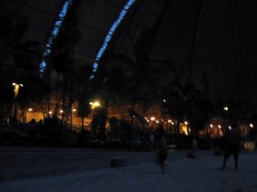 IMG 5172 JPG