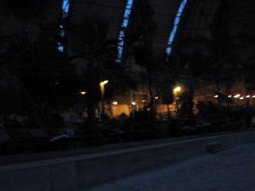 IMG 5173 JPG