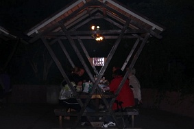 IMG 8987 JPG