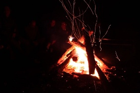 IMG 9005 JPG
