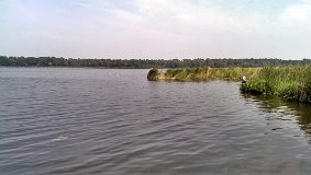 IMAG0731