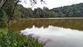 IMAG0767