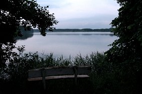 IMGP5226