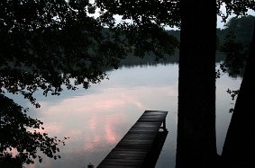 IMGP5229